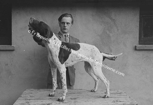 FRENCHPARK FRANCIS  LORD DE FREYNE WITH PEDIGREE GUN DOGS